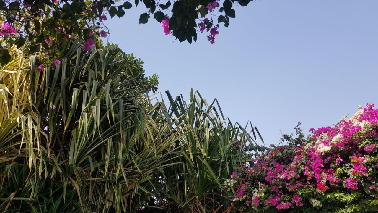 Villa met privé zwembad in Résidence Safari Village Saly Portudal Buitenkant foto