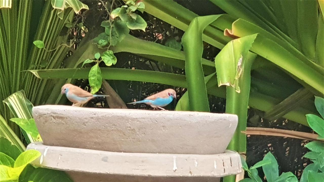 Villa met privé zwembad in Résidence Safari Village Saly Portudal Buitenkant foto
