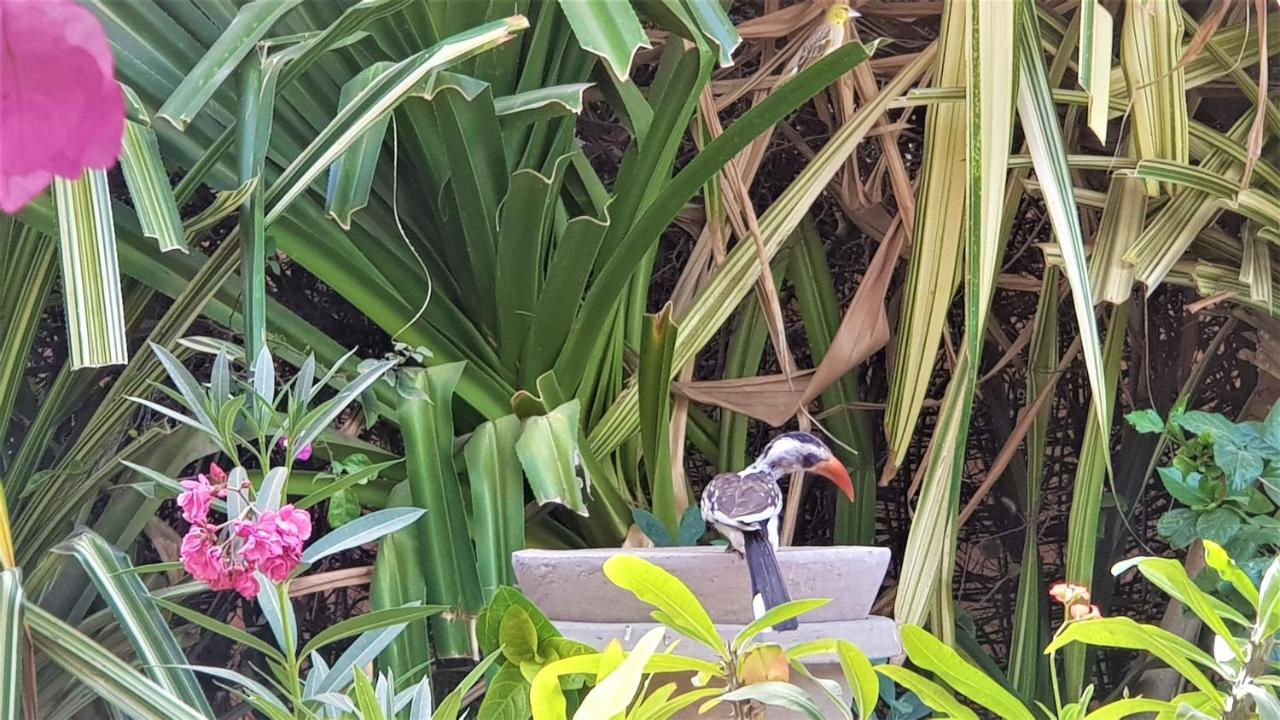 Villa met privé zwembad in Résidence Safari Village Saly Portudal Buitenkant foto