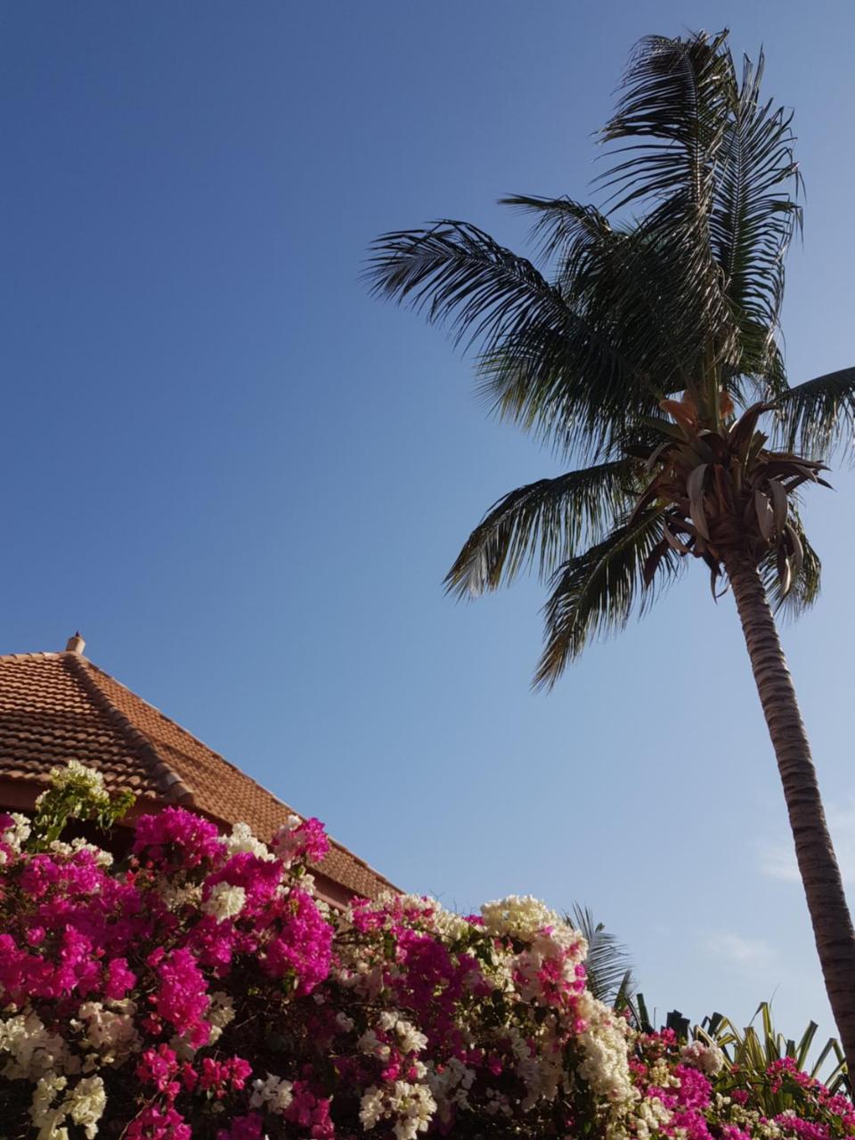 Villa met privé zwembad in Résidence Safari Village Saly Portudal Buitenkant foto